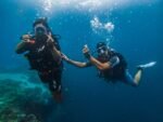 diving panglao