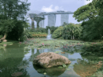 Experience Singapore