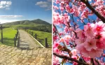 Scenic Day Trips from Taipei