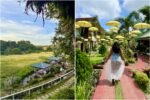 Samkara Restaurant and Garden Resort